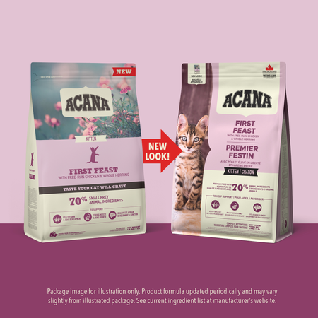Kitten food reviews store